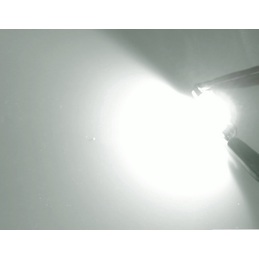 C5W FESTONE 2 LED CREE SUPER CANBUS 39 MM DISSIPATORE