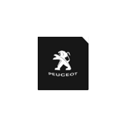 LOGO UNTER TÜREN PEUGEOT CREE LED