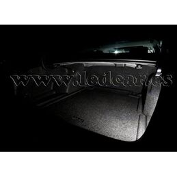 LED compatible PASSAT B7 (ab 2010)